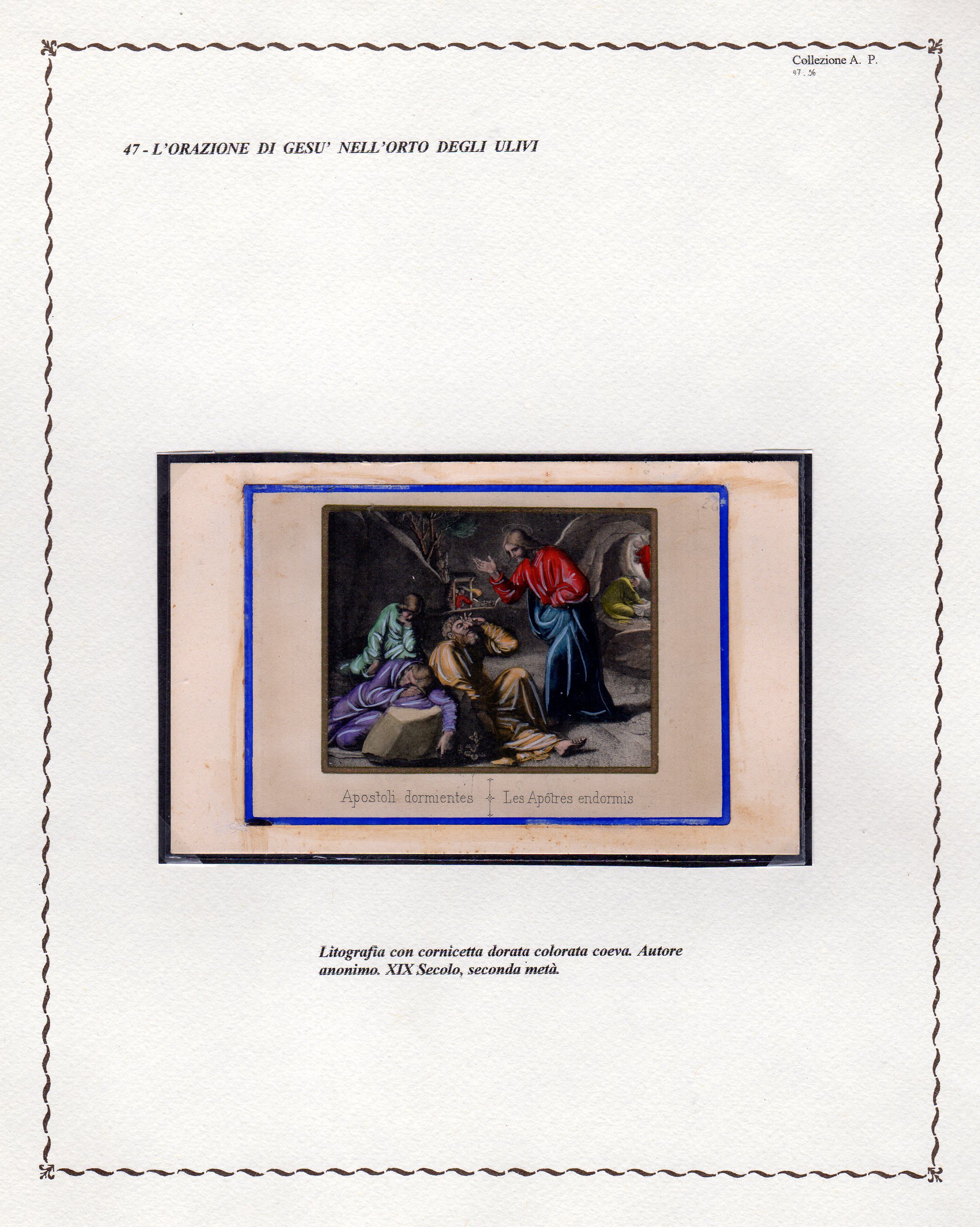 Project-Image-2469